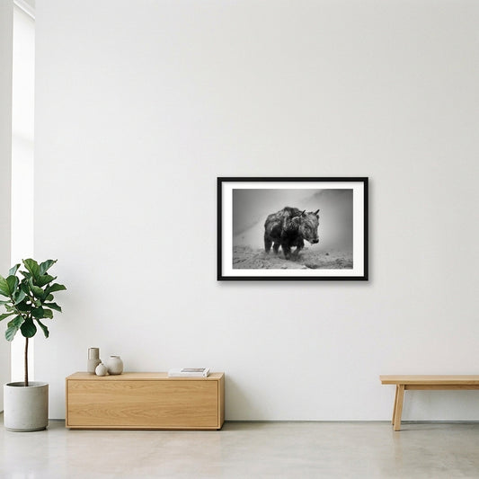 Orsoo Bayarsaikhan – Mongolian Bison — 60×40cm, 24×16" Black Frame