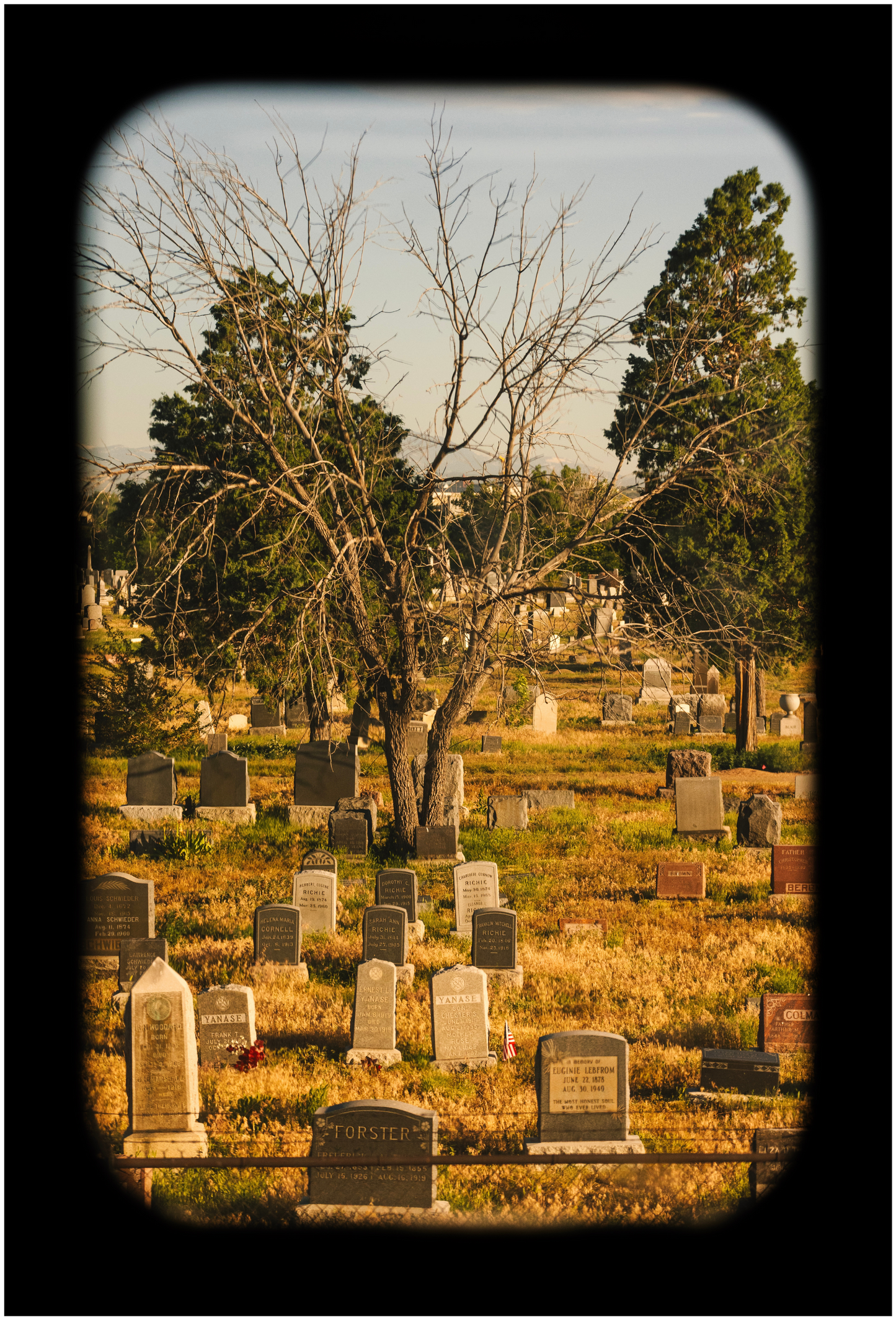 A photograph of a cemetery viewed through a camera lens, with trees and gravestones in the background.
