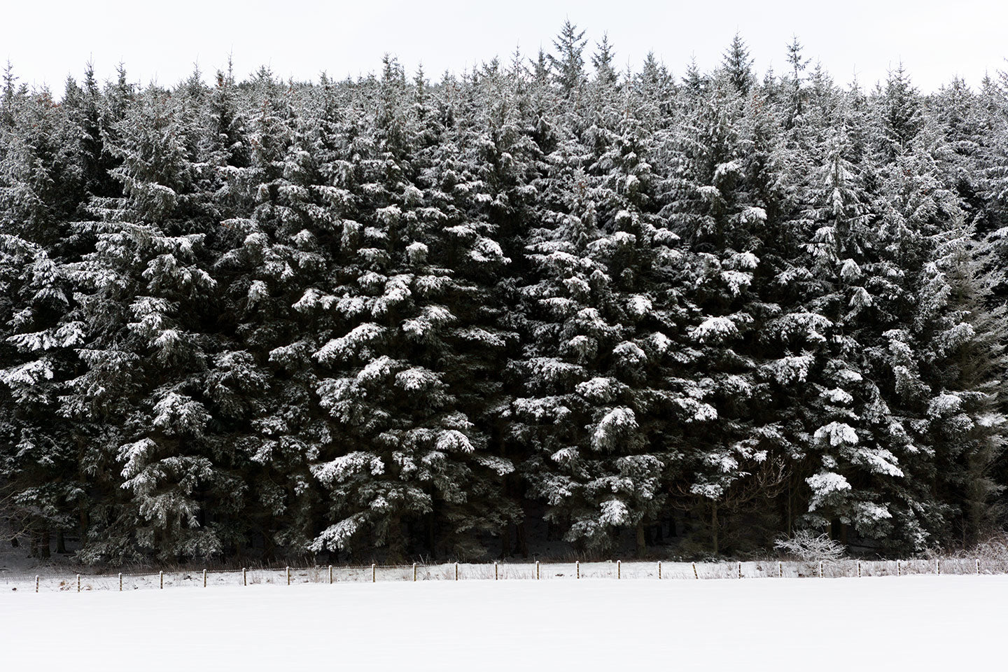 Keith Parry – Snow #11