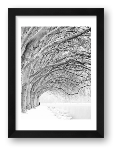 Nina Papiorek – Integration Place — framed