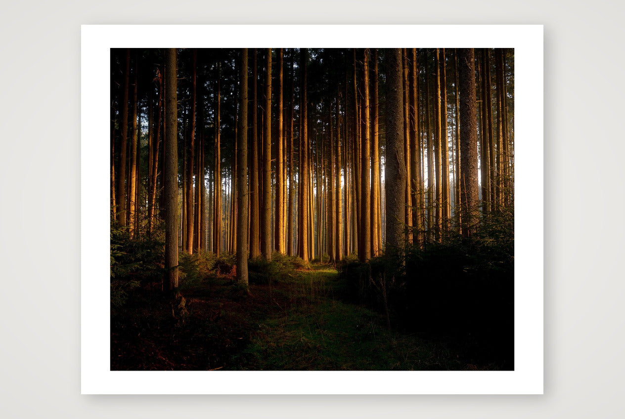 Florian – Untitled — 35×28cm, 14×11" Print only