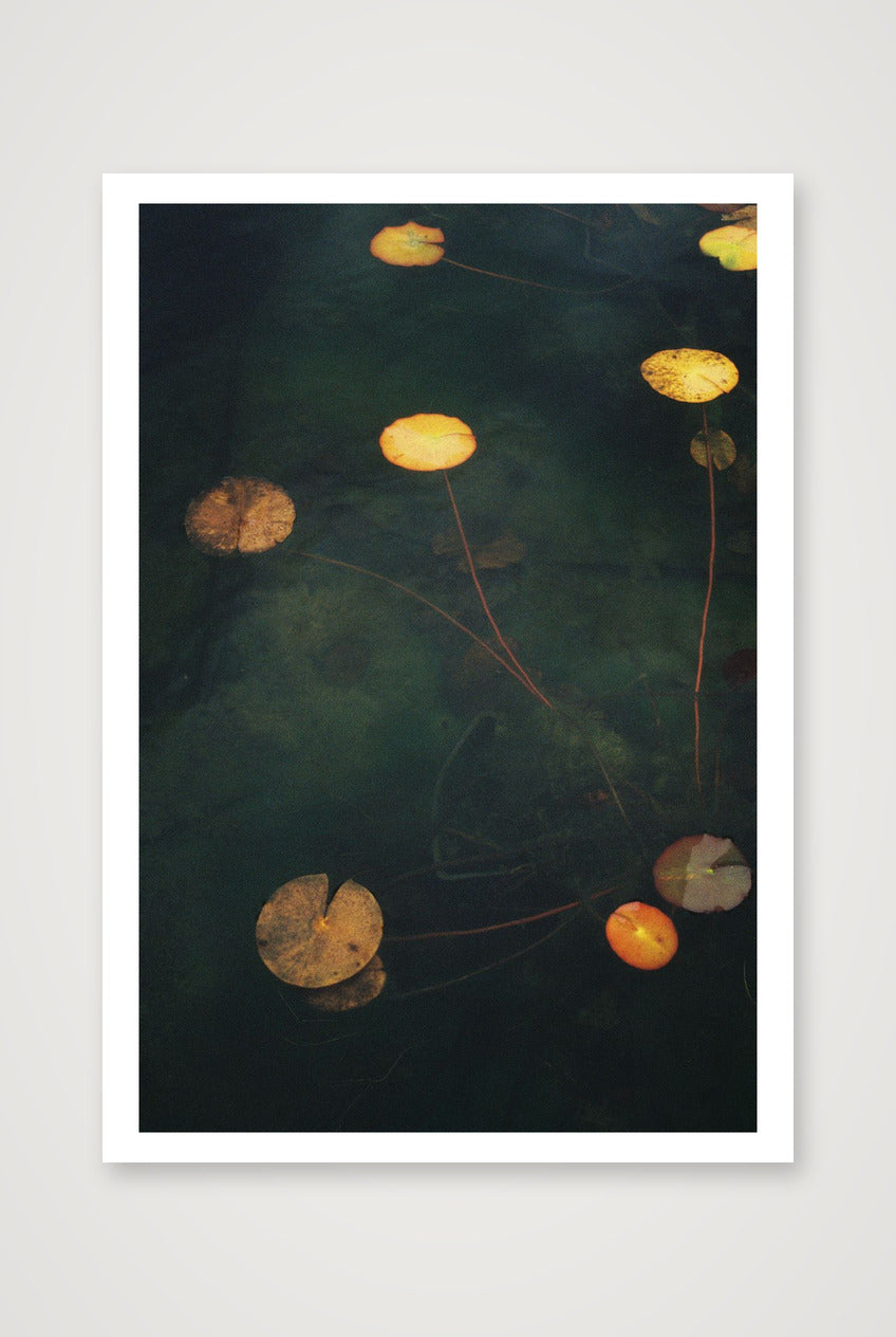 Megan Ogden – Sanctuaries — 70×100cm, 28×39" Print only