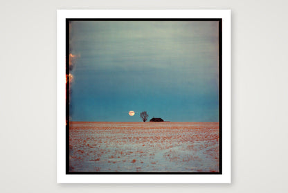 Dustin Veitch – Because There's No Planet B — 50×50cm, 20×20" Print only