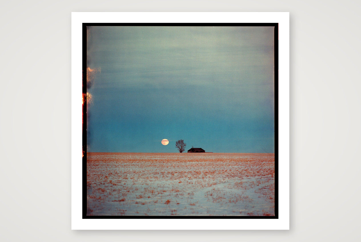Dustin Veitch – Because There's No Planet B — 40×40cm, 16×16" Print only