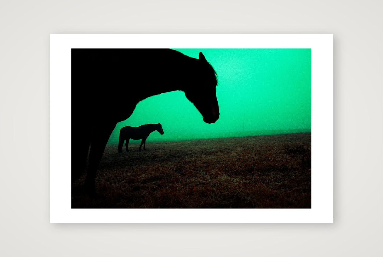 Marek Walchetseder – Untitled — 45×30cm, 18×12" Print only