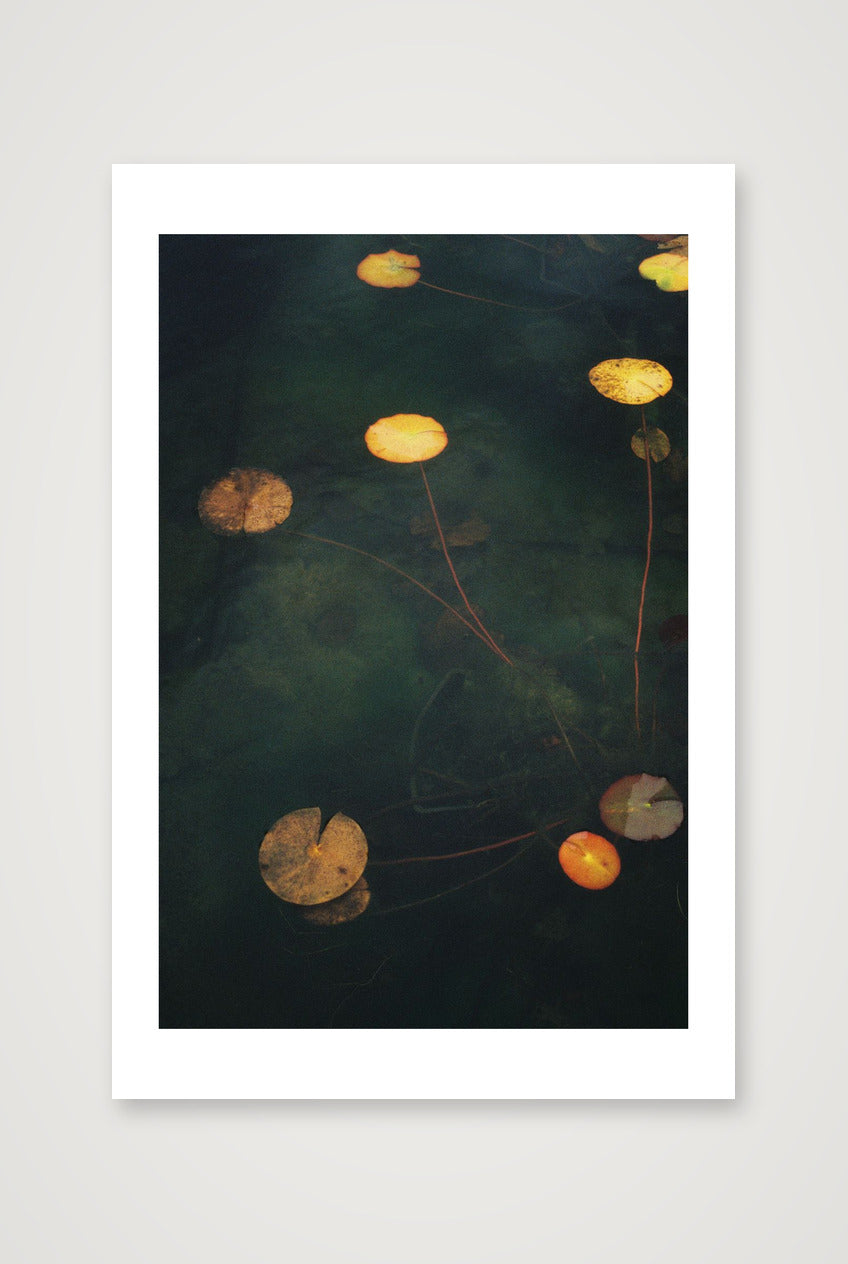 Megan Ogden – Sanctuaries — 40×60cm, 16×24" Print only