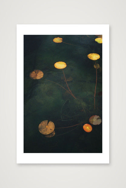 Megan Ogden – Sanctuaries — 40×60cm, 16×24" Print only