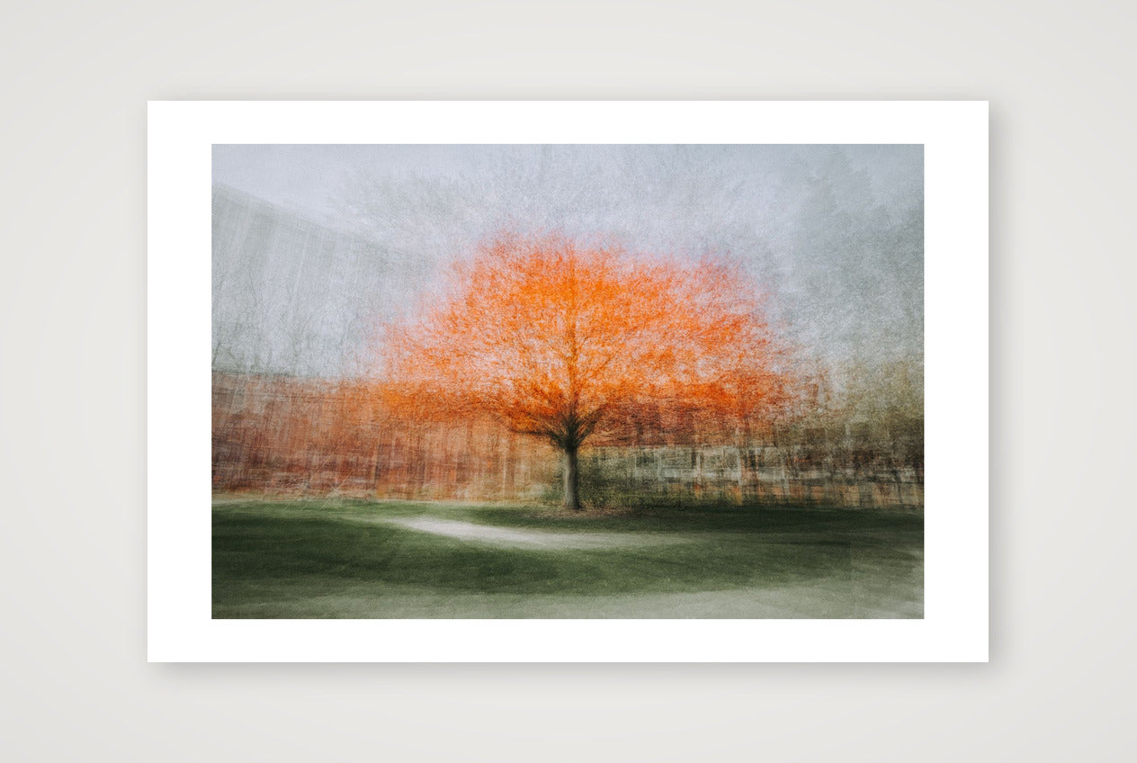 Aeon – Spring on Washtenaw — 45×30cm, 18×12" Print only