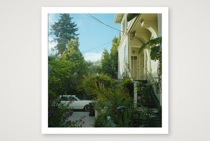 Kate Anderson – Hiding in Plain Sight — 30×30cm, 12×12" Print only