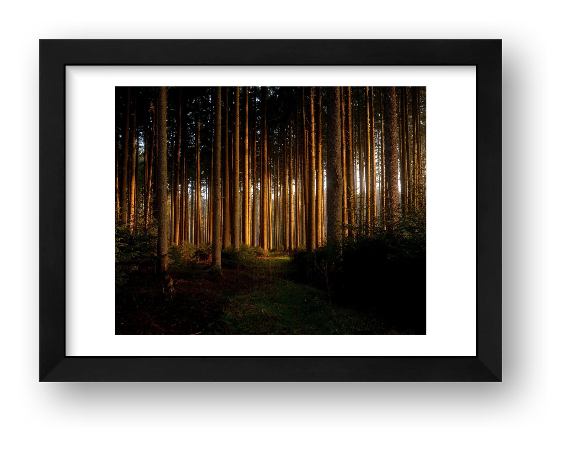 Florian – Untitled — framed