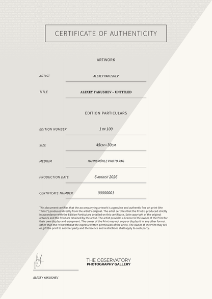 Alexey Yakushev – Untitled — Certificate of Authenticity