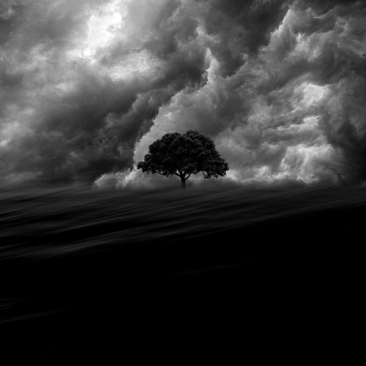 A black and white image of a tree with a motion blurred patch of grass in the foreground and very dramatic clouds in the background
