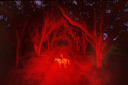 A photograph featuring a red-lit forest path with a silhouette of a person riding a horse in the foreground.