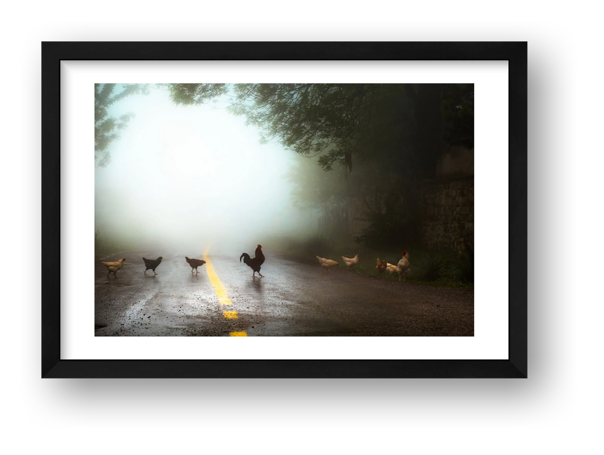 İlker Karaman – Why Indeed... — framed