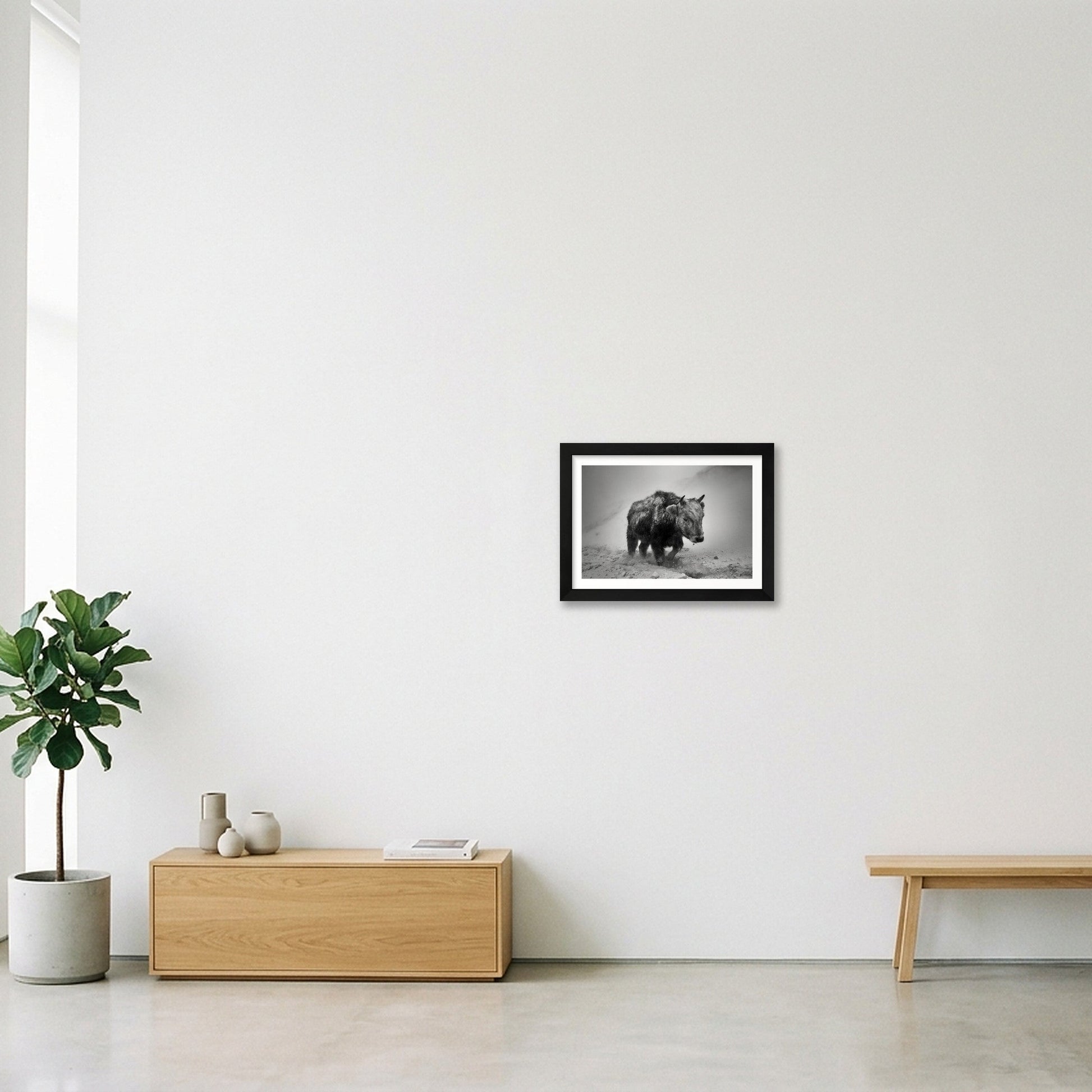 Orsoo Bayarsaikhan – Mongolian Bison — A4 (30×21cm, 12×8") Black Frame