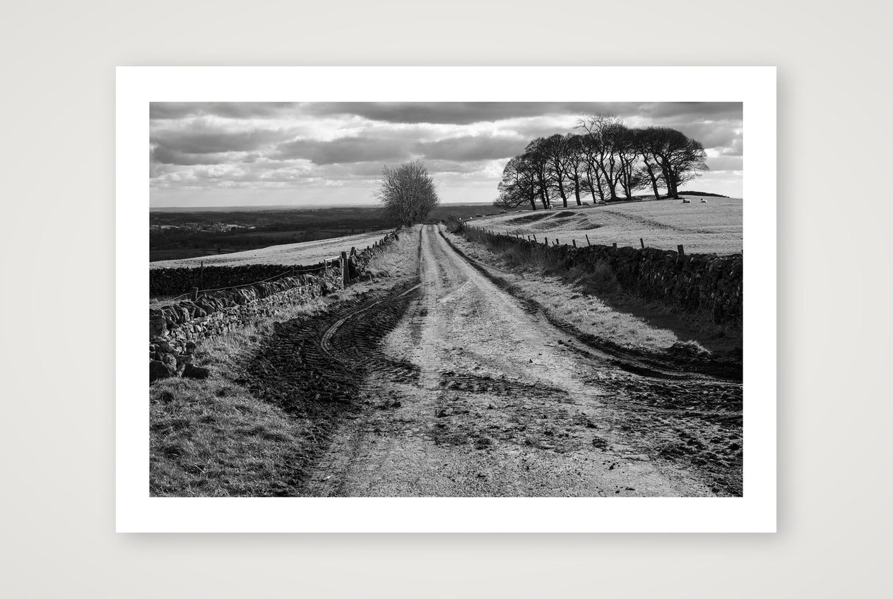 Robin Weaver – Muddy Tracks — A4 (30×21cm, 12×8") Print only