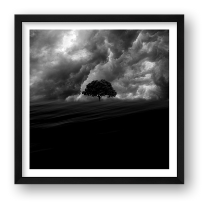 Olivier Mussard – Into The Wind — framed