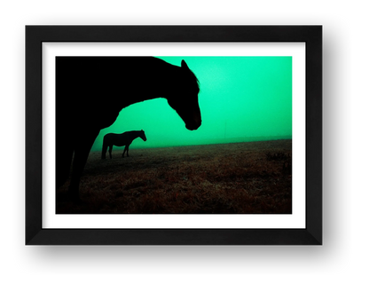 Marek Walchetseder – Untitled — framed