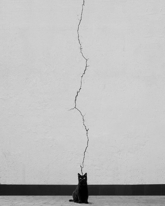 Ali Zolghadri – Untitled