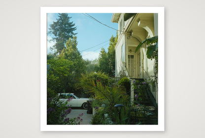 Kate Anderson – Hiding in Plain Sight — 40×40cm, 16×16" Print only