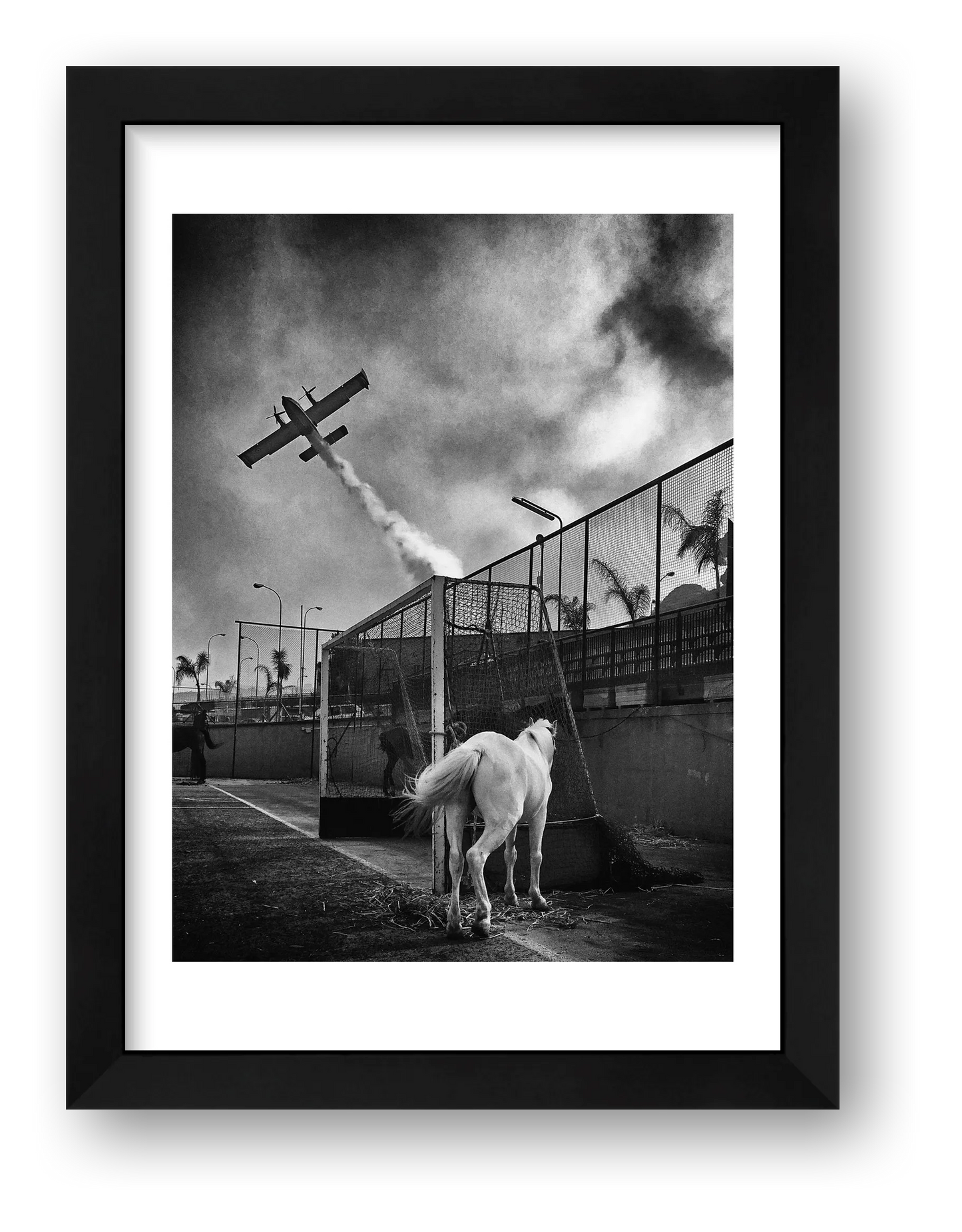 Simona Bonanno – Untitled — framed