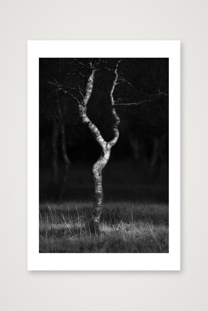 Henrik Ramsing Kristensen – Female Pose — 30×45cm, 12×18" Print only