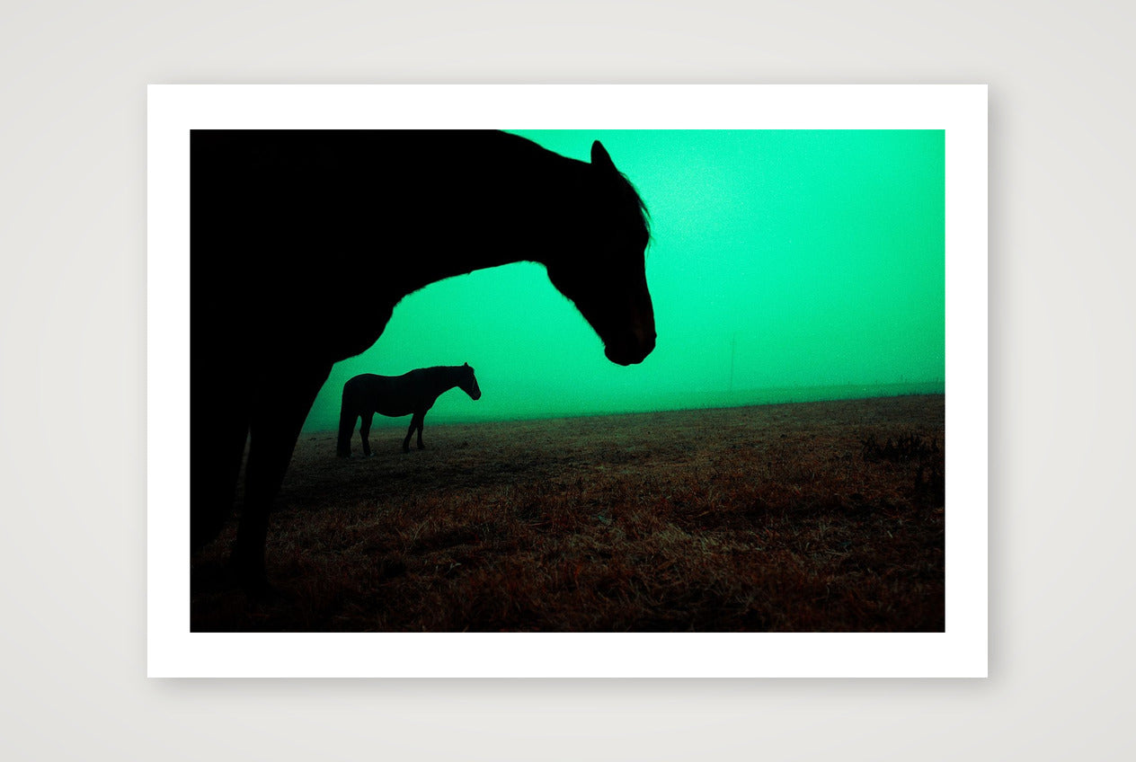 Marek Walchetseder – Untitled — A4 (30×21cm, 12×8") Print only