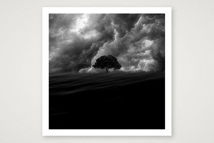Olivier Mussard – Into The Wind — 40×40cm, 16×16" Print only