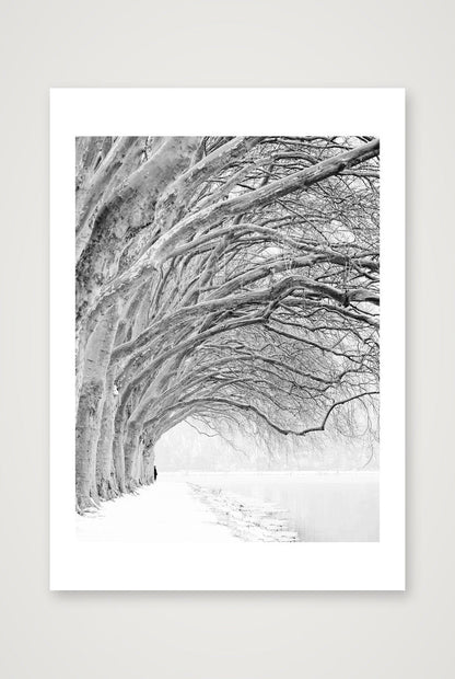 Nina Papiorek – Integration Place — A4 (21×30cm, 8×12") Print only