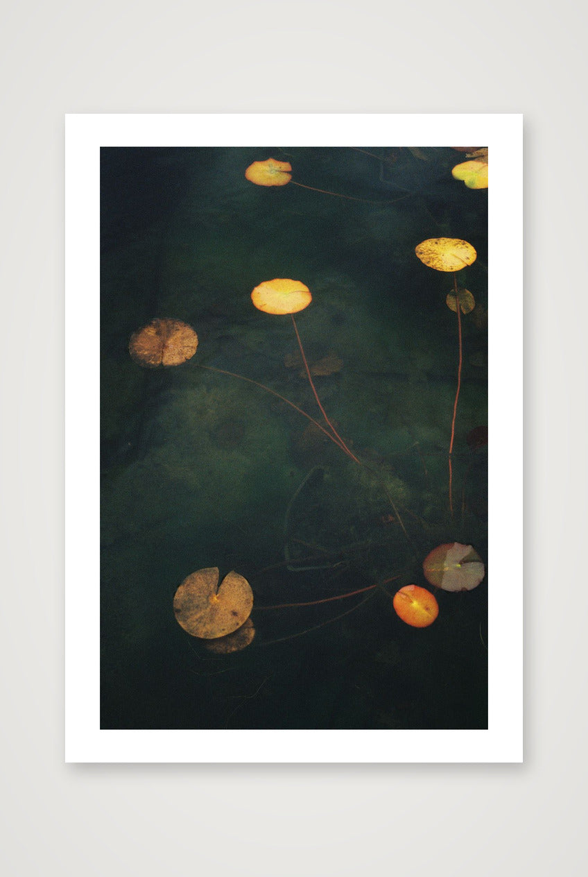 Megan Ogden – Sanctuaries — A4 (21×30cm, 8×12") Print only