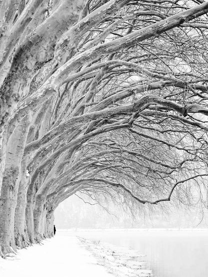 A black and white photo print featuring a snowy forest with frozen trees and a overcast sky, with a white border for mounting.