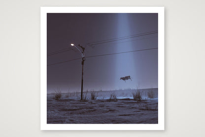 Jermaine Saunders – Leaving 2020 — 50×50cm, 20×20" Print only