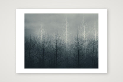 Pip – Untitled — 59×42cm, 23×17" Print only