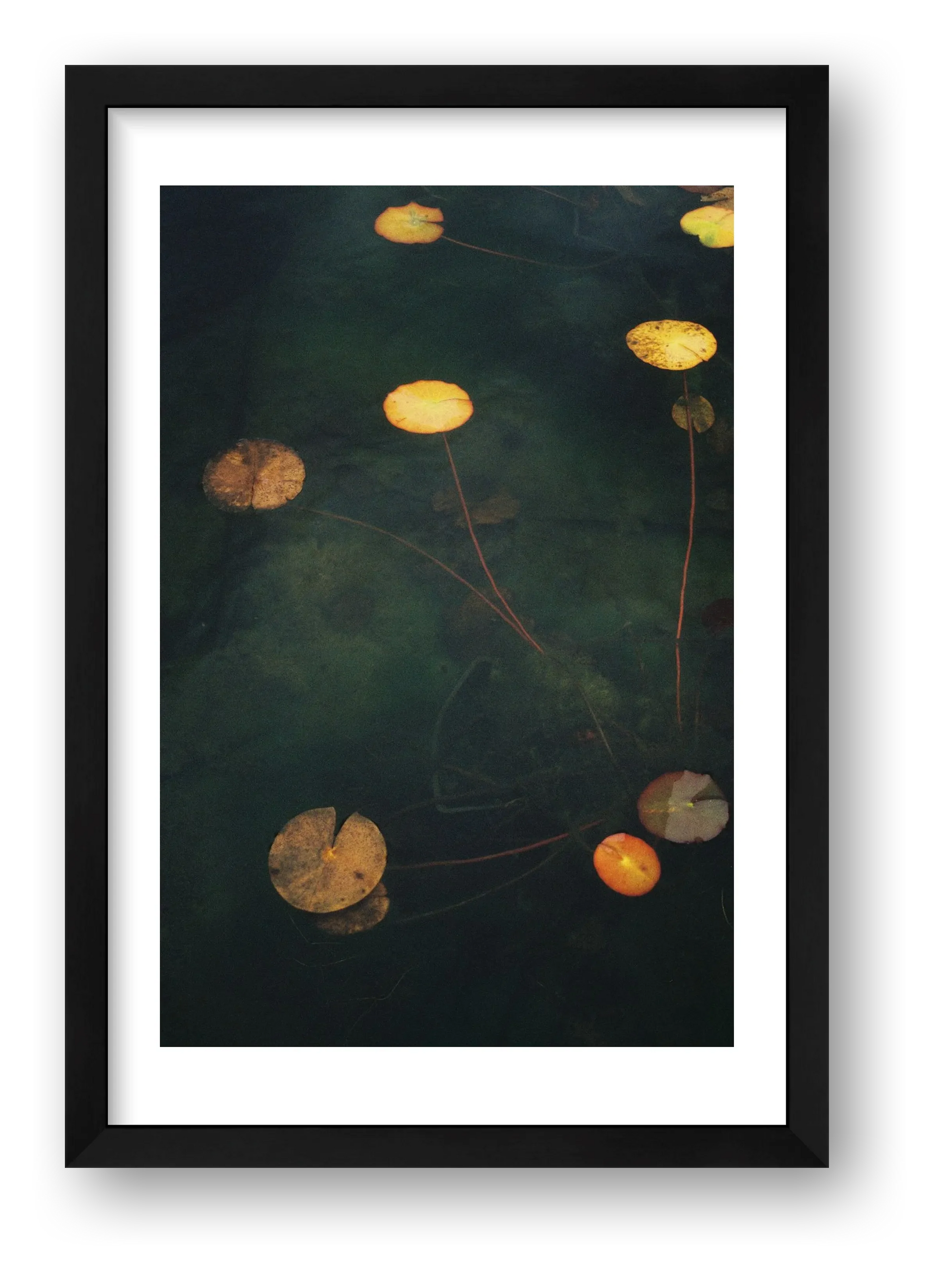 Megan Ogden – Sanctuaries — framed