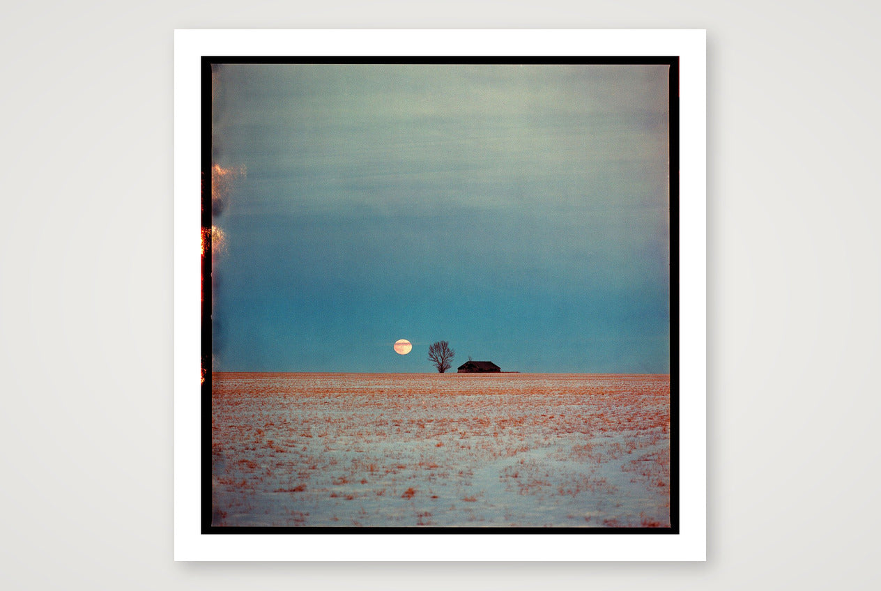 Dustin Veitch – Because There's No Planet B — 30×30cm, 12×12" Print only
