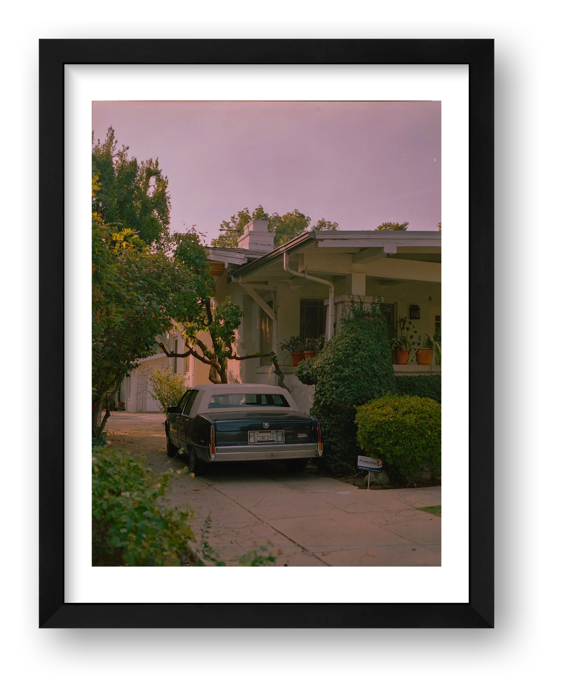 Michael Baisa  – Too Young To Burn — framed