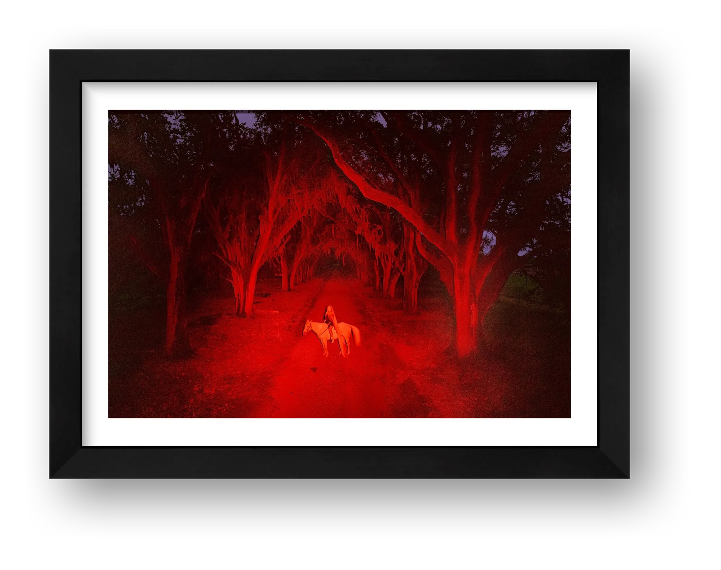 Briscoe Park – Alone Again — framed