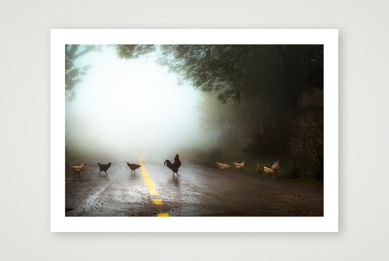 İlker Karaman – Why Indeed... — A4 (30×21cm, 12×8") Print only