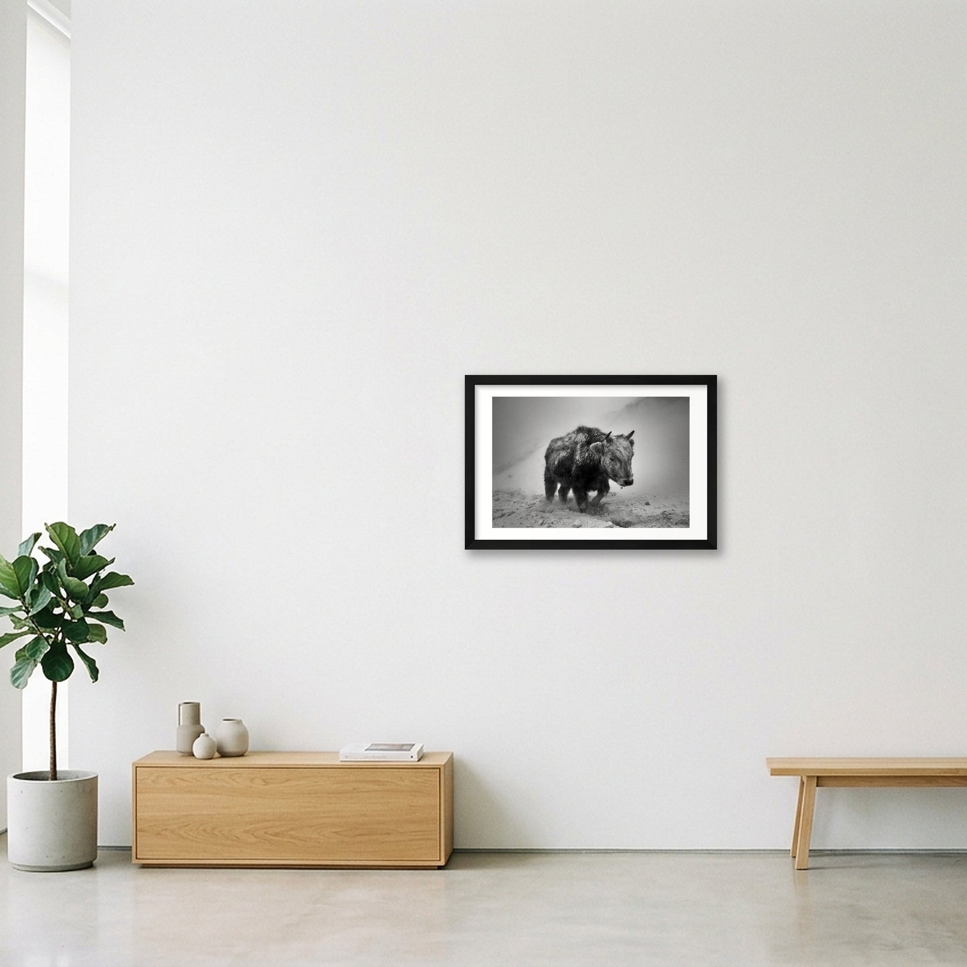 Orsoo Bayarsaikhan – Mongolian Bison — 45×30cm, 18×12" Black Frame