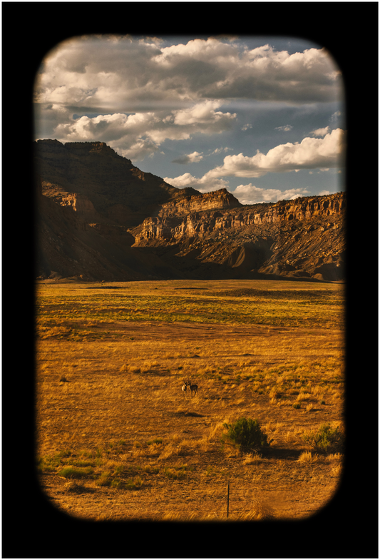 A framed print depicting a landscape with a field and mountains in the background, titled 'Katie Edwards – 38°58’2" N 109°45’9" W' as part of the series ‘Portraiture of America’.