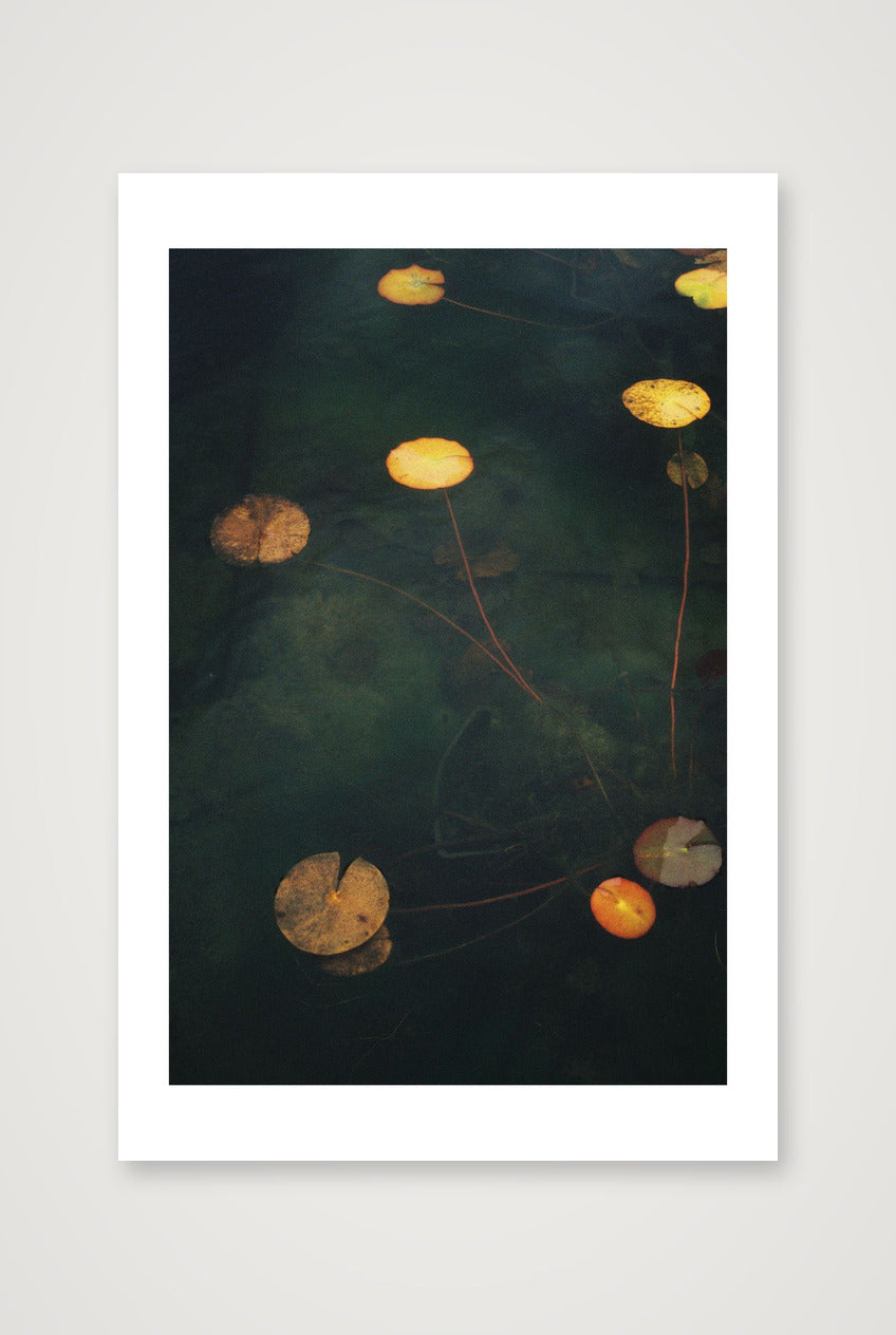 Megan Ogden – Sanctuaries — 30×45cm, 12×18" Print only