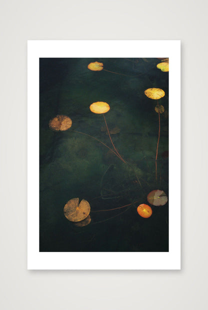Megan Ogden – Sanctuaries — 30×45cm, 12×18" Print only