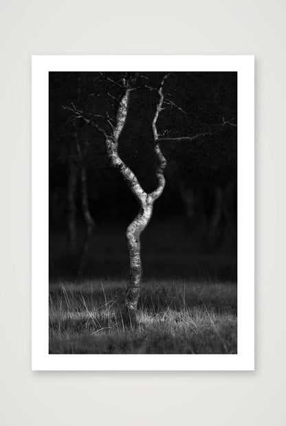 Henrik Ramsing Kristensen – Female Pose — A4 (21×30cm, 8×12") Print only