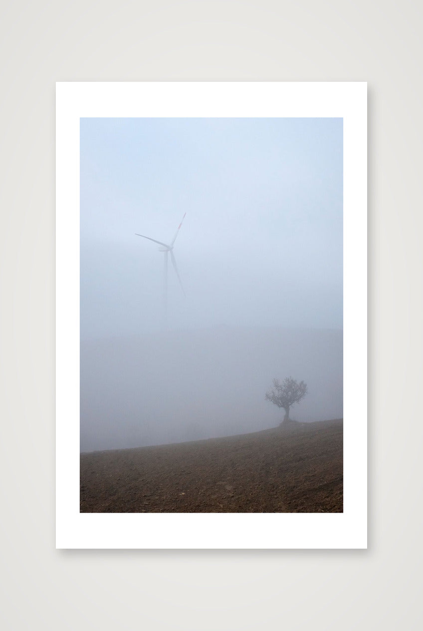 Carmine Marinaro – Fog n.1 — 30×45cm, 12×18" Print only