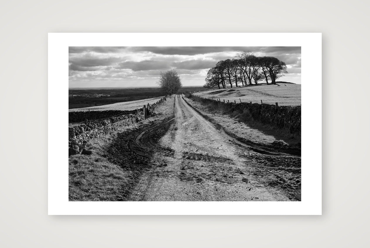 Robin Weaver – Muddy Tracks — 60×40cm, 24×16" Print only
