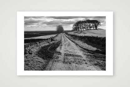 Robin Weaver – Muddy Tracks — 60×40cm, 24×16" Print only