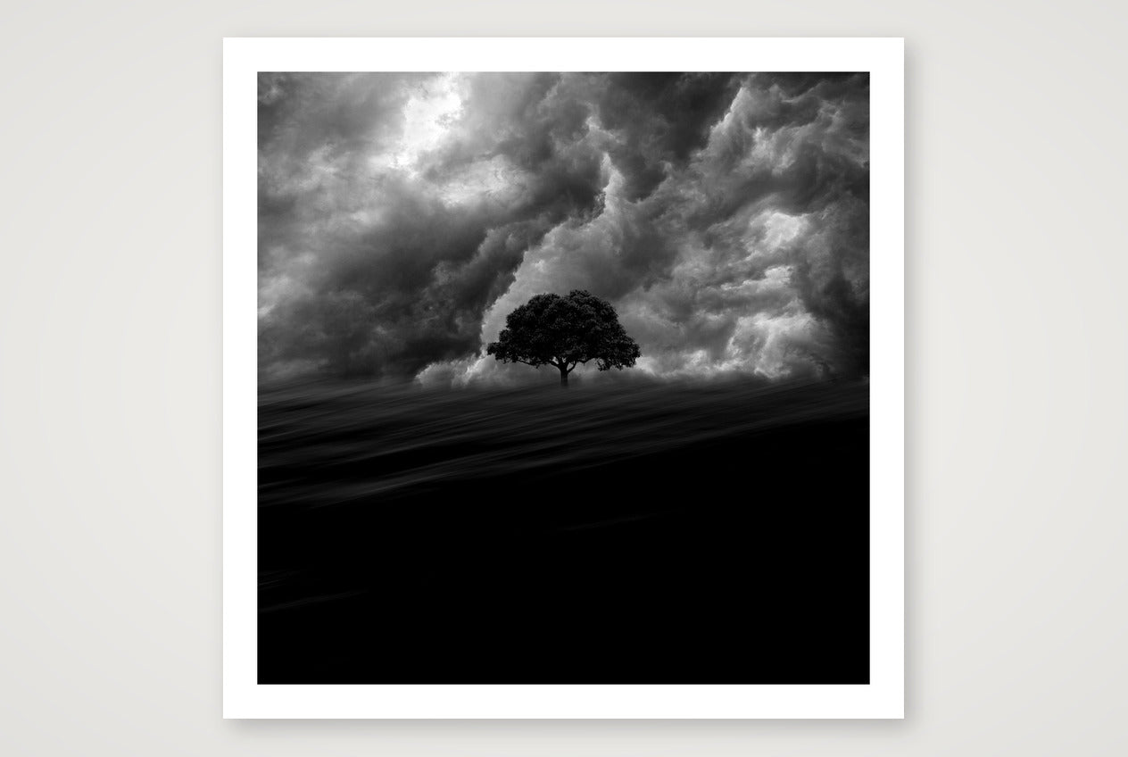 Olivier Mussard – Into The Wind — 30×30cm, 12×12" Print only