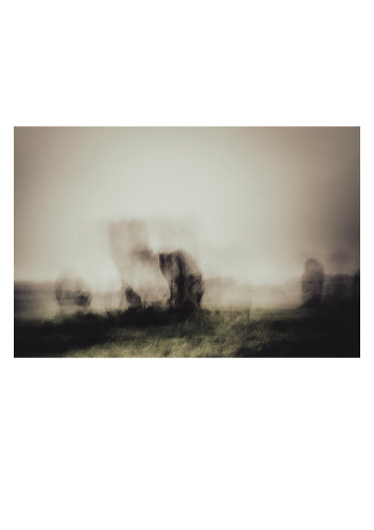 Dark North No. 2