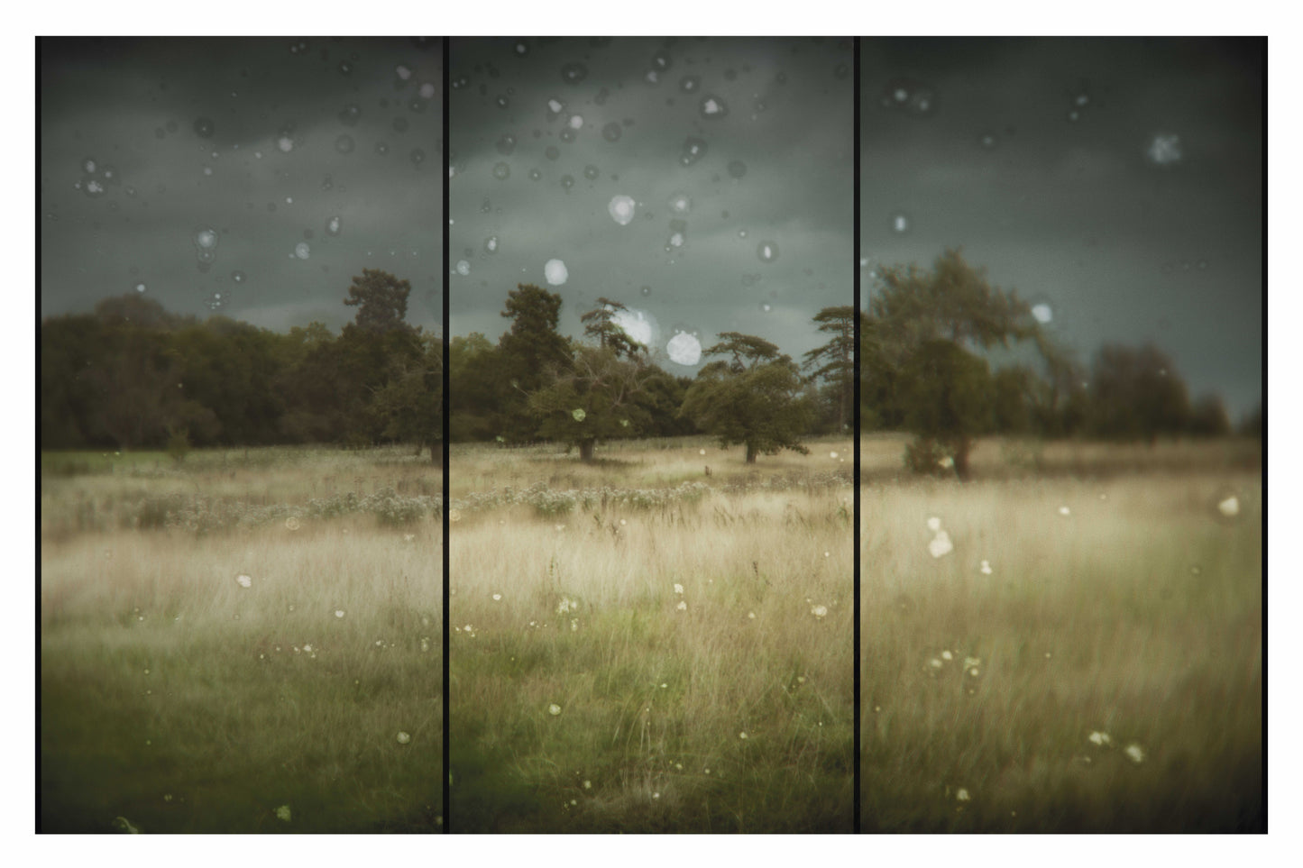 Triptych of a grassy field with trees under a cloudy sky.