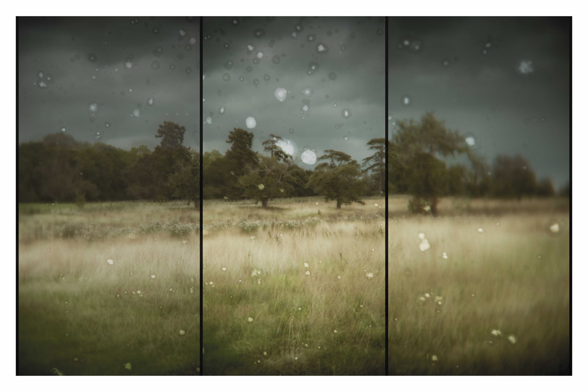 Triptych of a grassy field with trees under a cloudy sky.